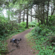 Illustration for article titled Oregon photodump (plenty o Toby)